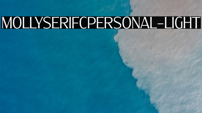 MollySerifCPERSONAL-Light Example 3
