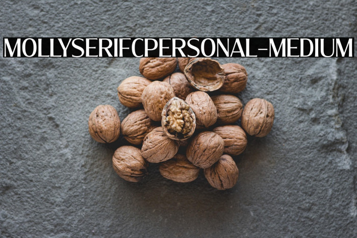 MollySerifCPERSONAL-Medium Example 1