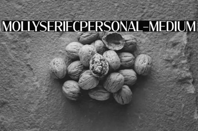 MollySerifCPERSONAL-Medium Font examples