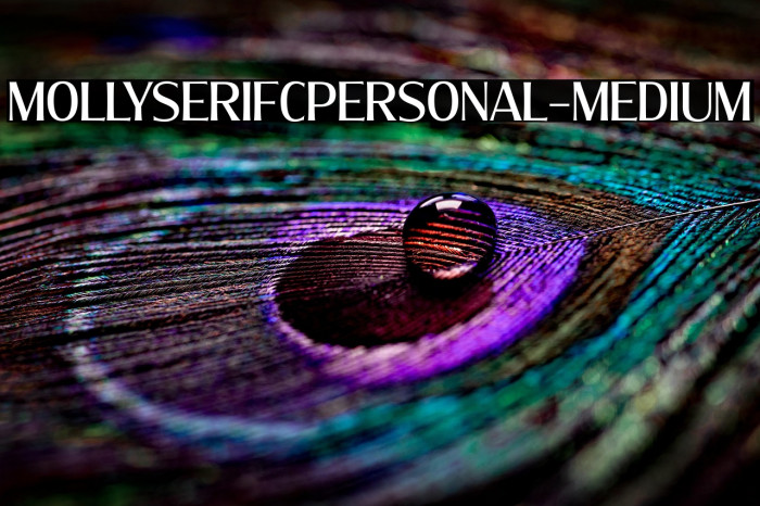 MollySerifCPERSONAL-Medium Example 3