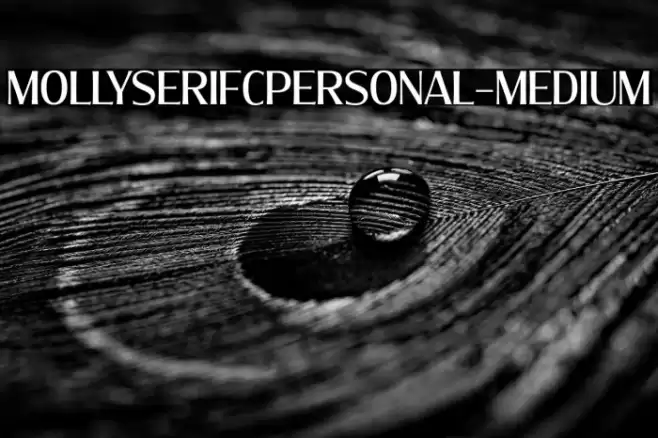 MollySerifCPERSONAL-Medium Font examples