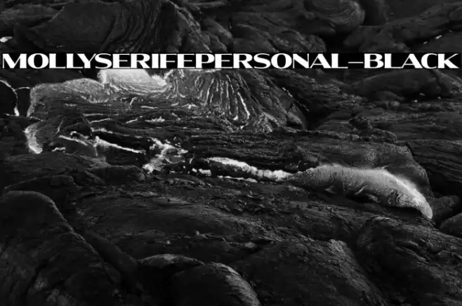 MollySerifEPERSONAL-Black Font examples