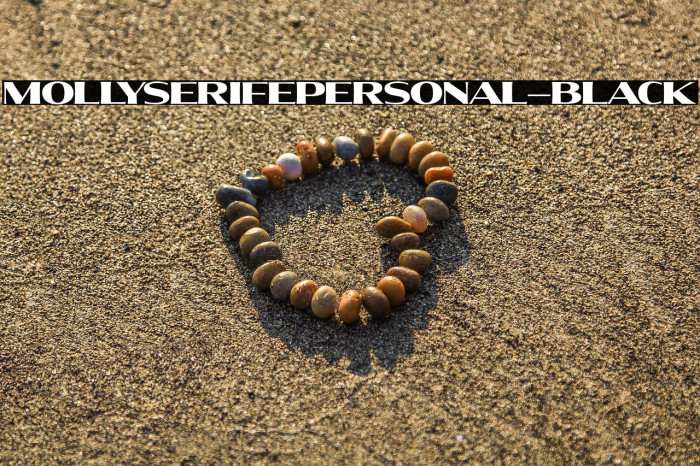 MollySerifEPERSONAL-Black Example 2