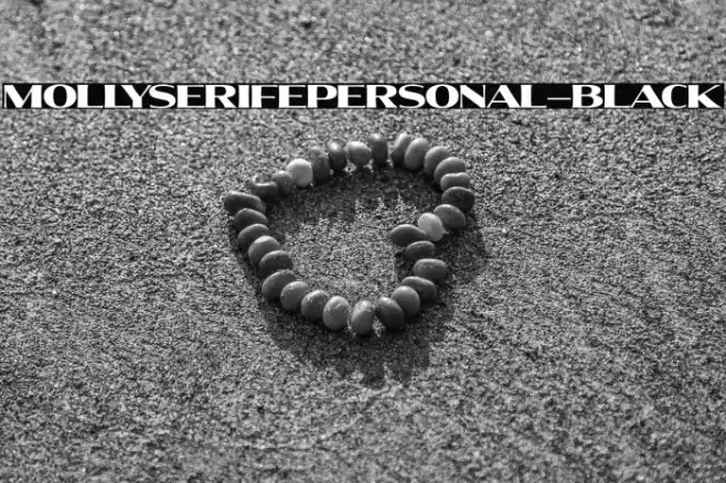 MollySerifEPERSONAL-Black Font examples