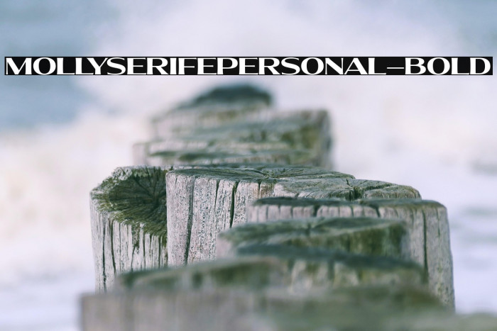 MollySerifEPERSONAL-Bold Example 2