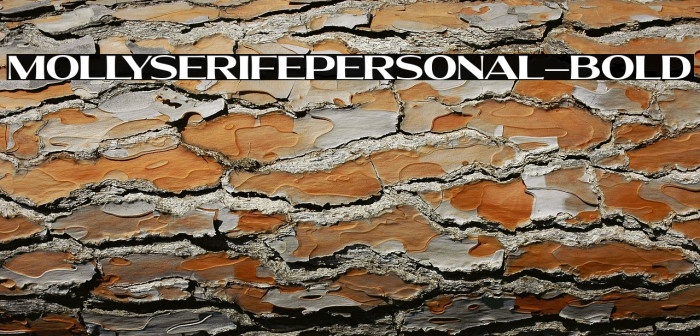 MollySerifEPERSONAL-Bold Example 3
