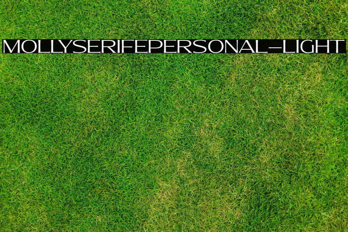 MollySerifEPERSONAL-Light Example 1