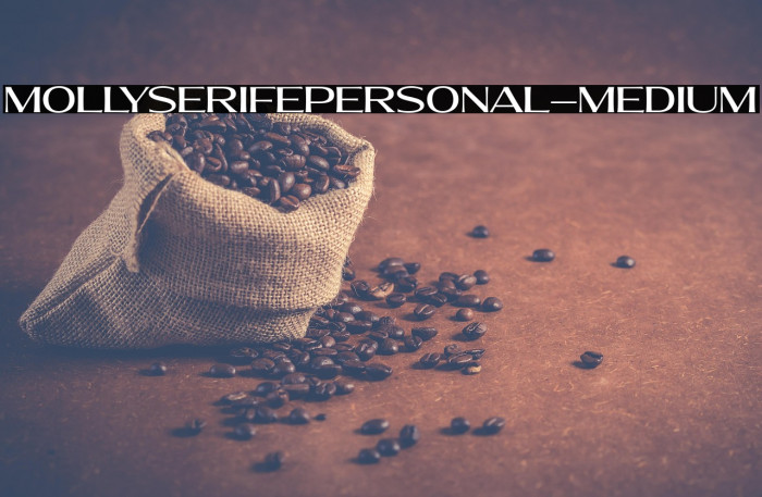 MollySerifEPERSONAL-Medium Example 1