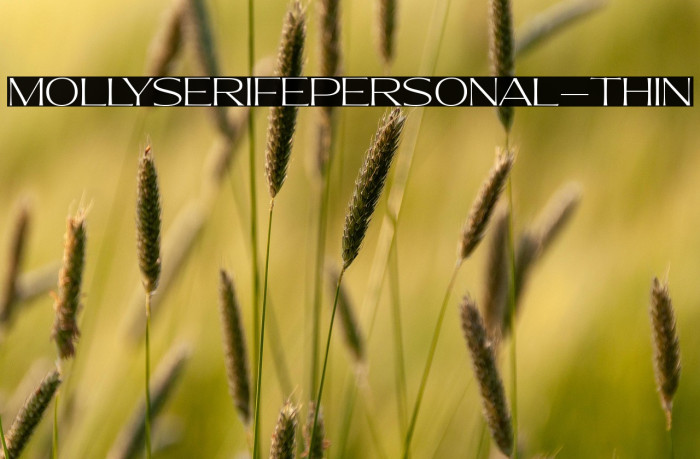 MollySerifEPERSONAL-Thin Example 2