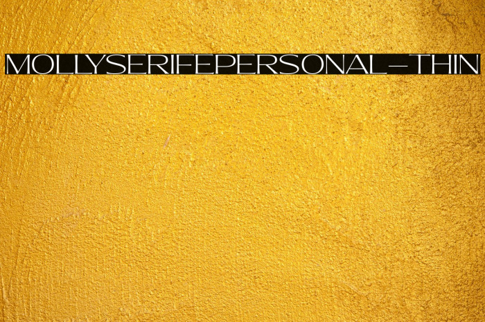 MollySerifEPERSONAL-Thin Example 3