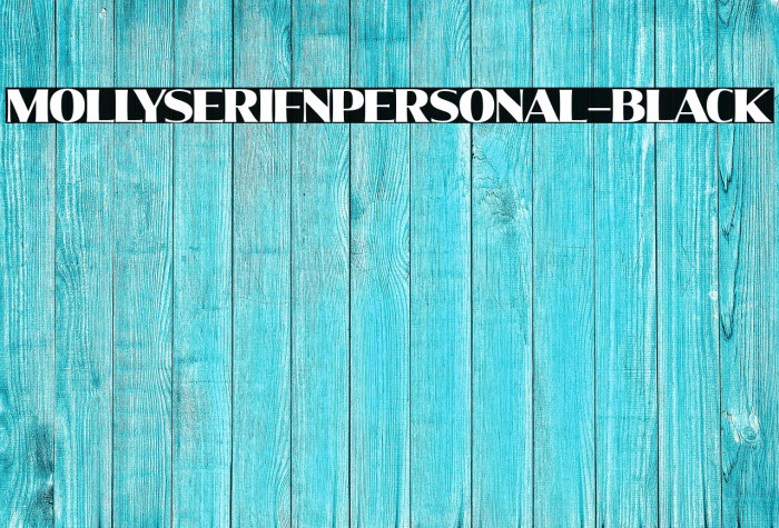 MollySerifNPERSONAL-Black Example 2