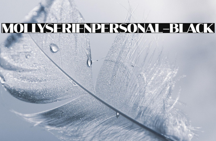 MollySerifNPERSONAL-Black Example 3