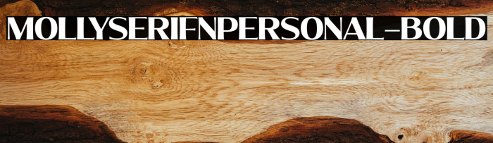 MollySerifNPERSONAL-Bold Example 2