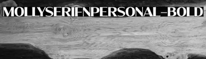 MollySerifNPERSONAL-Bold Font examples