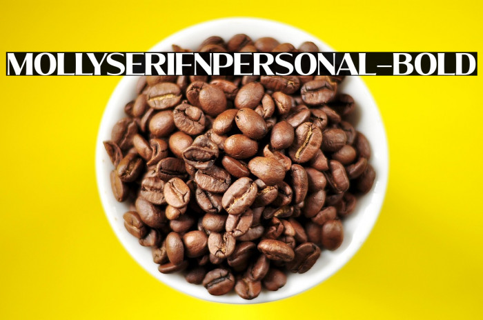 MollySerifNPERSONAL-Bold Example 3