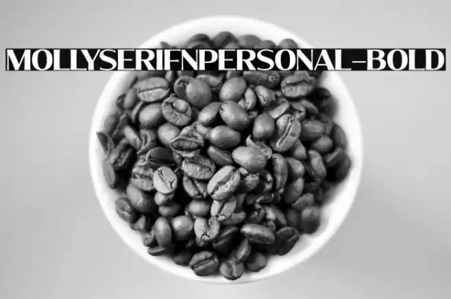 MollySerifNPERSONAL-Bold Font examples