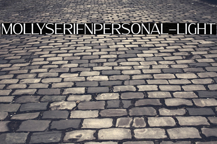 MollySerifNPERSONAL-Light Example 1