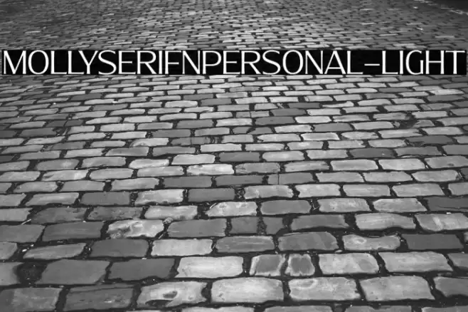 MollySerifNPERSONAL-Light Font examples