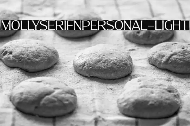 MollySerifNPERSONAL-Light Font examples