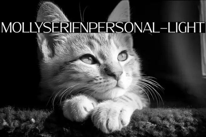 MollySerifNPERSONAL-Light Font examples