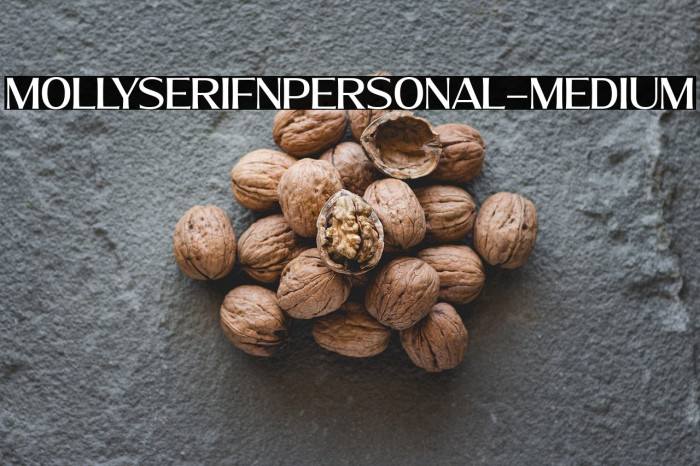 MollySerifNPERSONAL-Medium Example 2