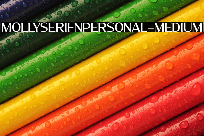 MollySerifNPERSONAL-Medium Example 3