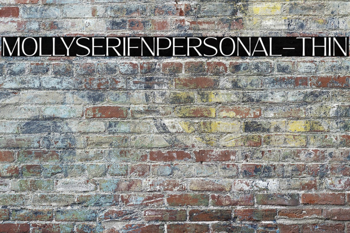MollySerifNPERSONAL-Thin Example 3