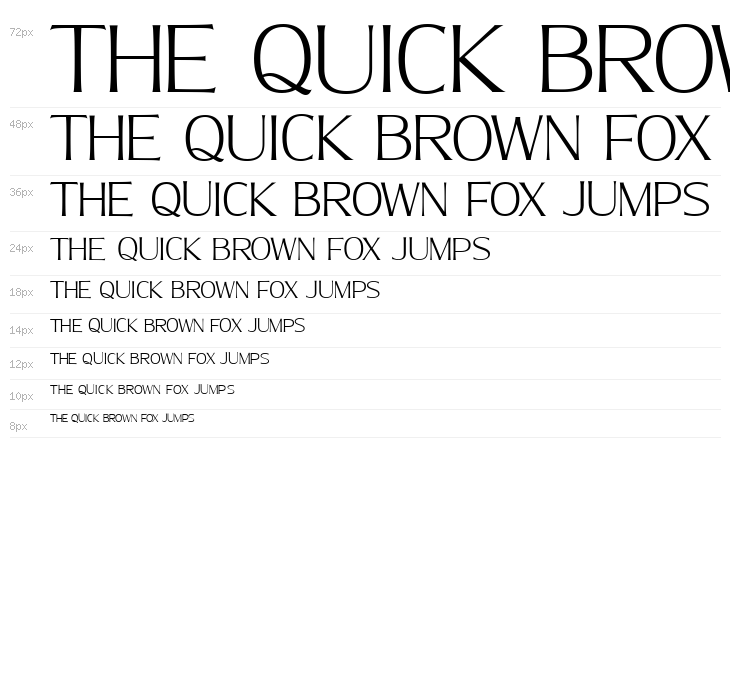 MollySerifNPERSONAL-Thin Waterfall