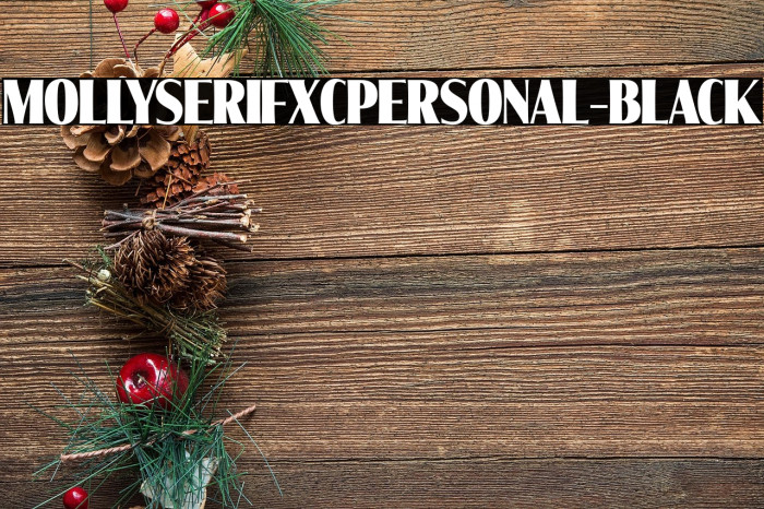MollySerifXCPERSONAL-Black Example 1