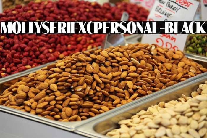 MollySerifXCPERSONAL-Black Example 2