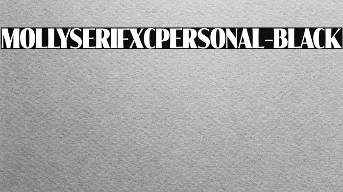 MollySerifXCPERSONAL-Black Example 3