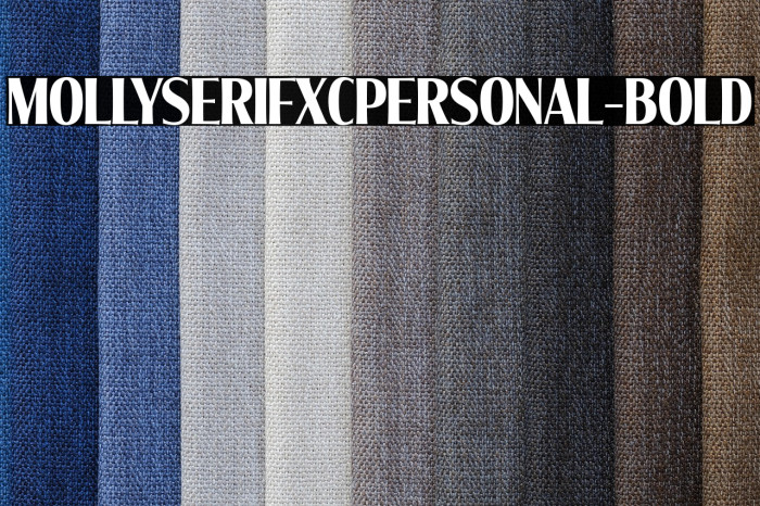 MollySerifXCPERSONAL-Bold Example 2