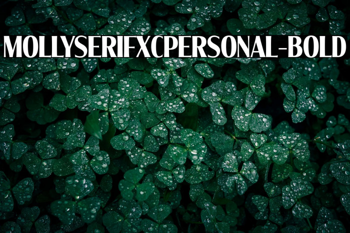 MollySerifXCPERSONAL-Bold Example 3