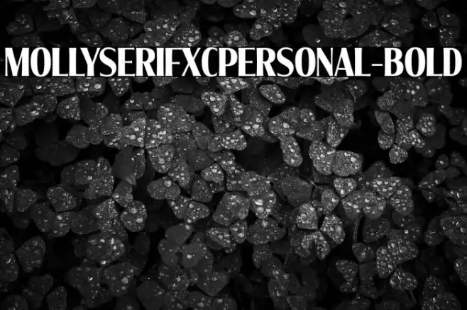 MollySerifXCPERSONAL-Bold Example 3