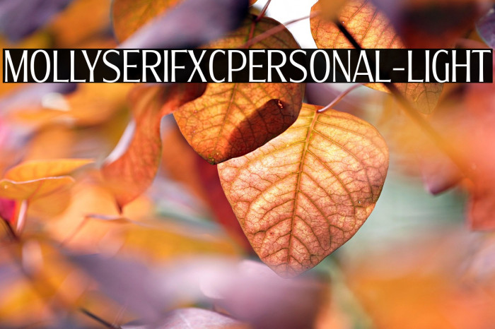 MollySerifXCPERSONAL-Light Example 1