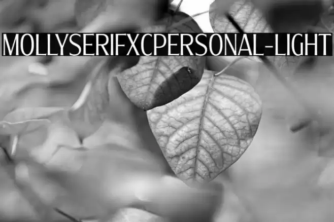 MollySerifXCPERSONAL-Light Font examples