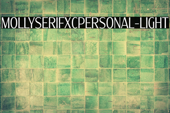 MollySerifXCPERSONAL-Light Example 2