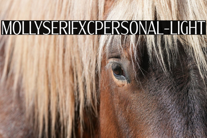 MollySerifXCPERSONAL-Light Example 3