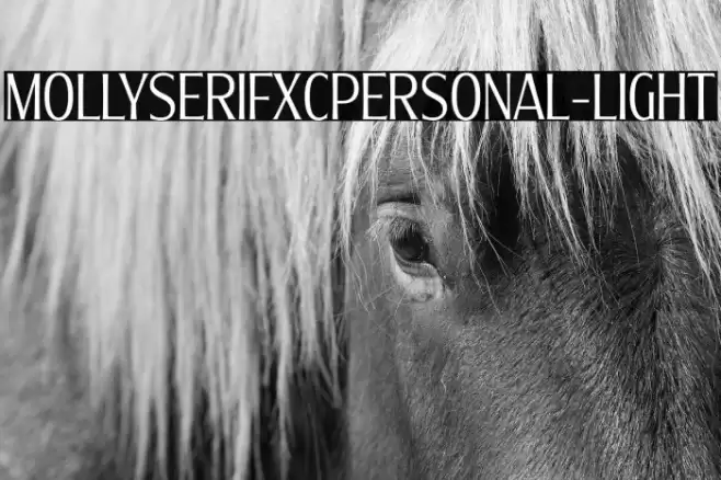 MollySerifXCPERSONAL-Light Font examples