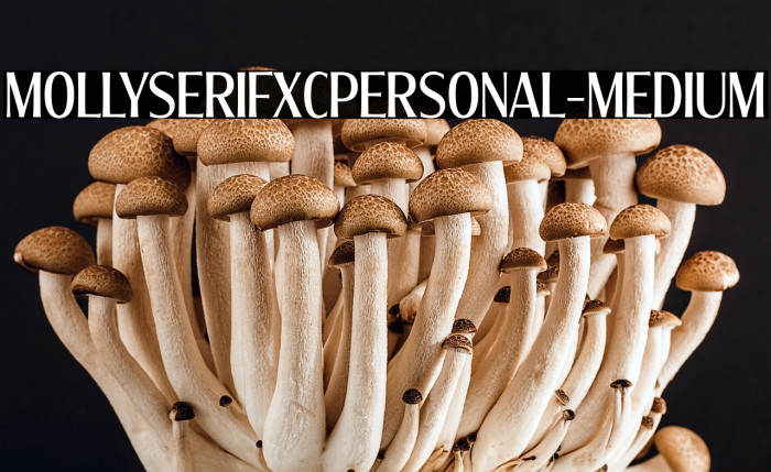 MollySerifXCPERSONAL-Medium Example 1