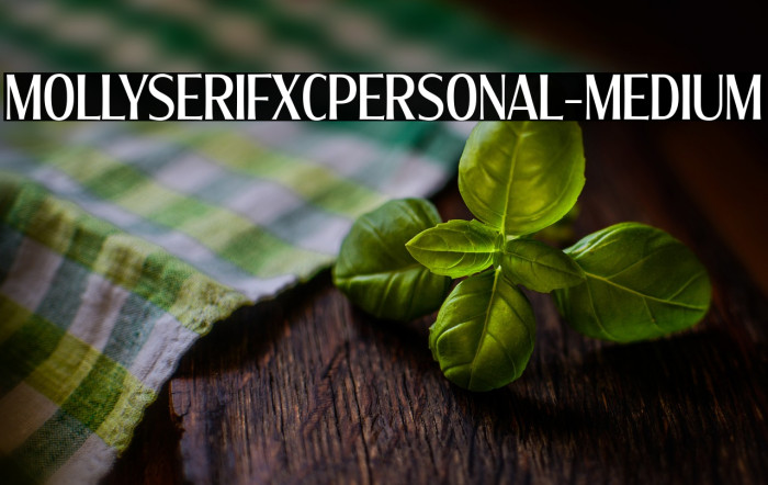 MollySerifXCPERSONAL-Medium Example 2