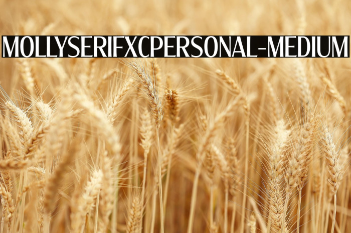 MollySerifXCPERSONAL-Medium Example 3