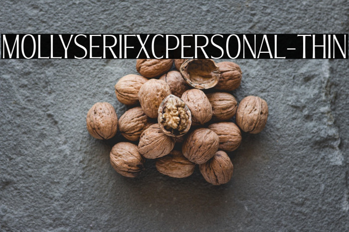 MollySerifXCPERSONAL-Thin Example 3