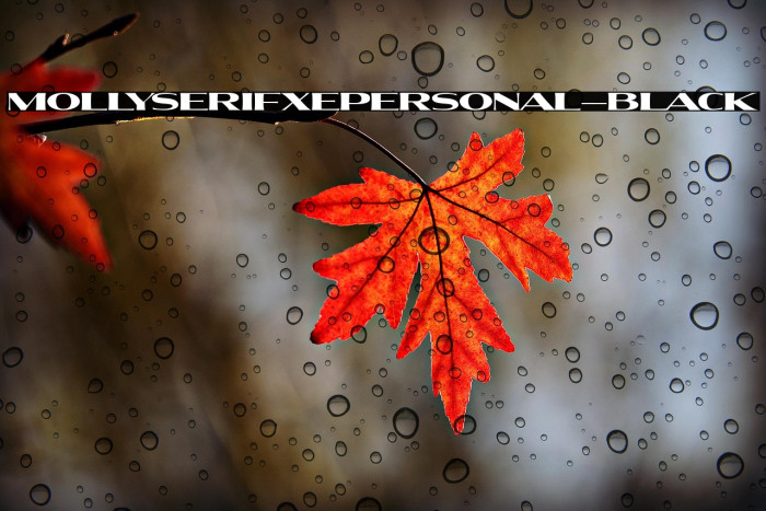 MollySerifXEPERSONAL-Black Example 2