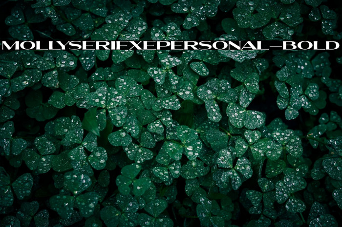 MollySerifXEPERSONAL-Bold Example 3