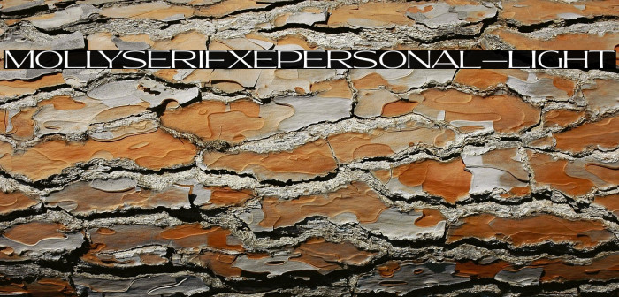 MollySerifXEPERSONAL-Light Example 1