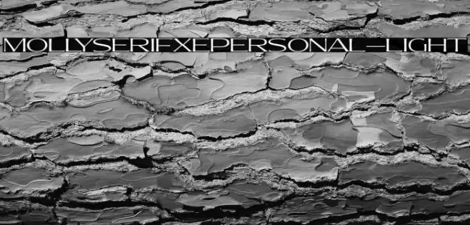 MollySerifXEPERSONAL-Light Font examples