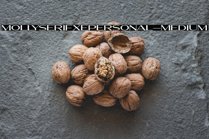 MollySerifXEPERSONAL-Medium Example 2