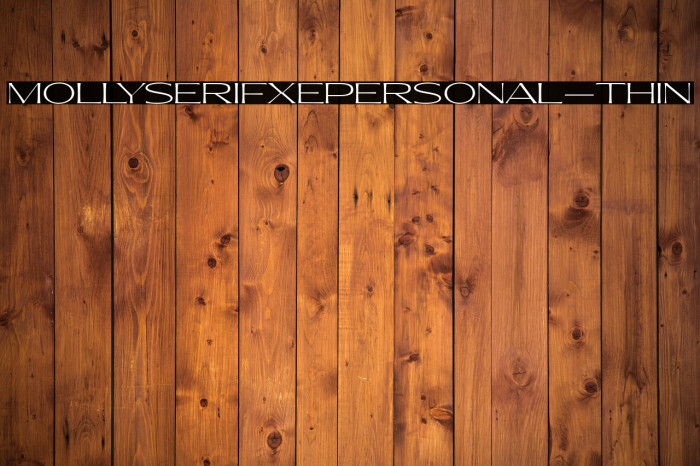 MollySerifXEPERSONAL-Thin Example 1
