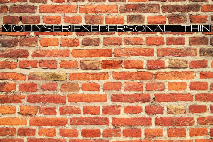 MollySerifXEPERSONAL-Thin Example 3